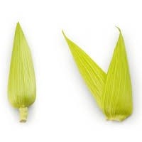 C.G. HOJA DE CHOCLO(PANCA)/12 500 GR. COEXITO